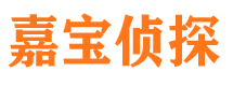 辰溪侦探公司